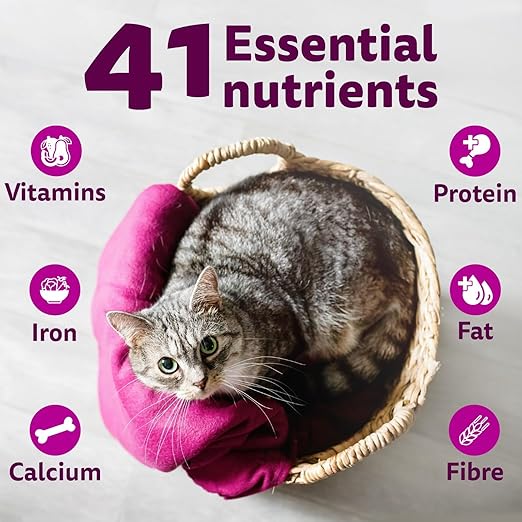 Whiskas Kitten Dry Cat Food (Flavor - Ocean Fish) - BURAQ PETS