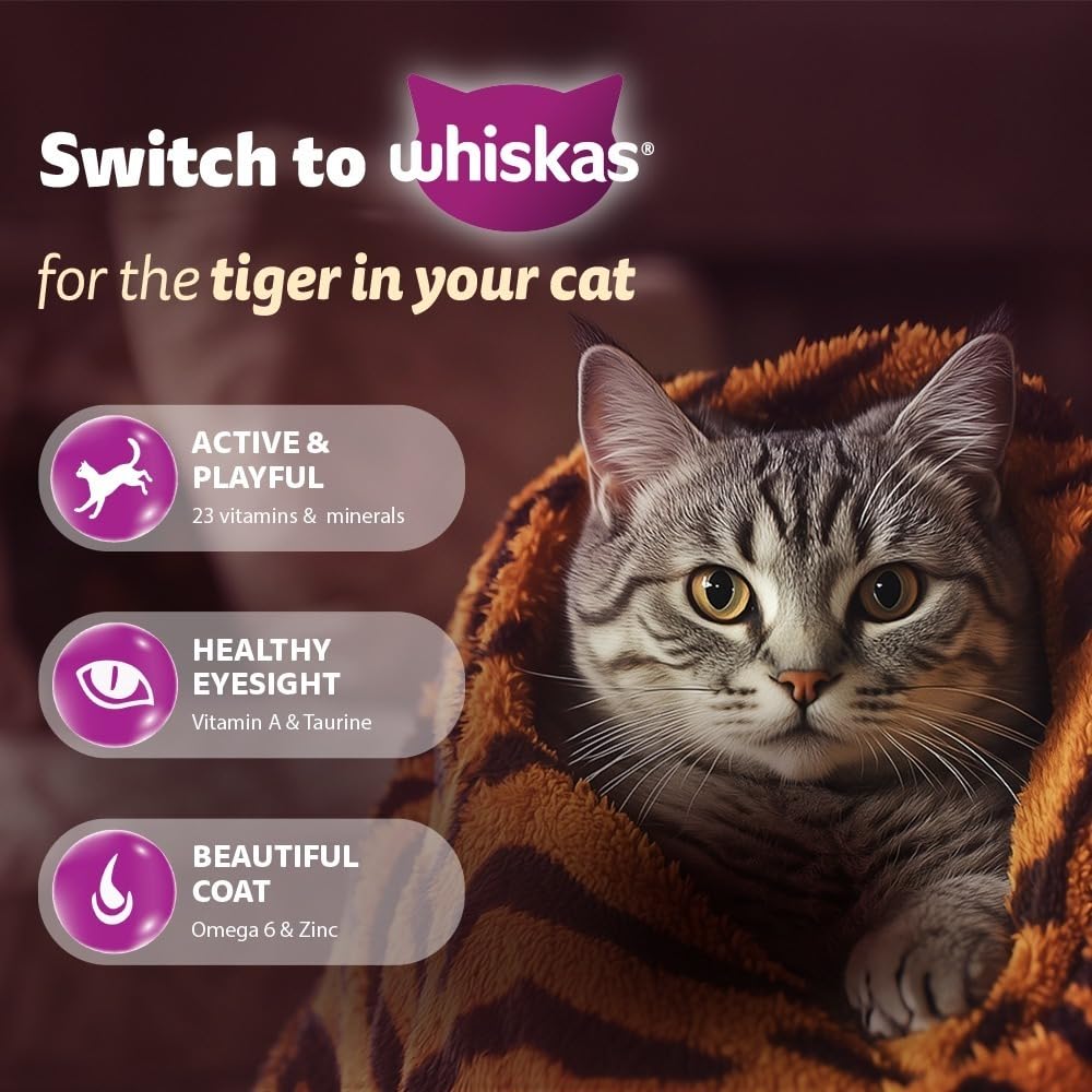 Whiskas Mackerel Adult Dry Cat Food 1.2 Kg - BURAQ PETS