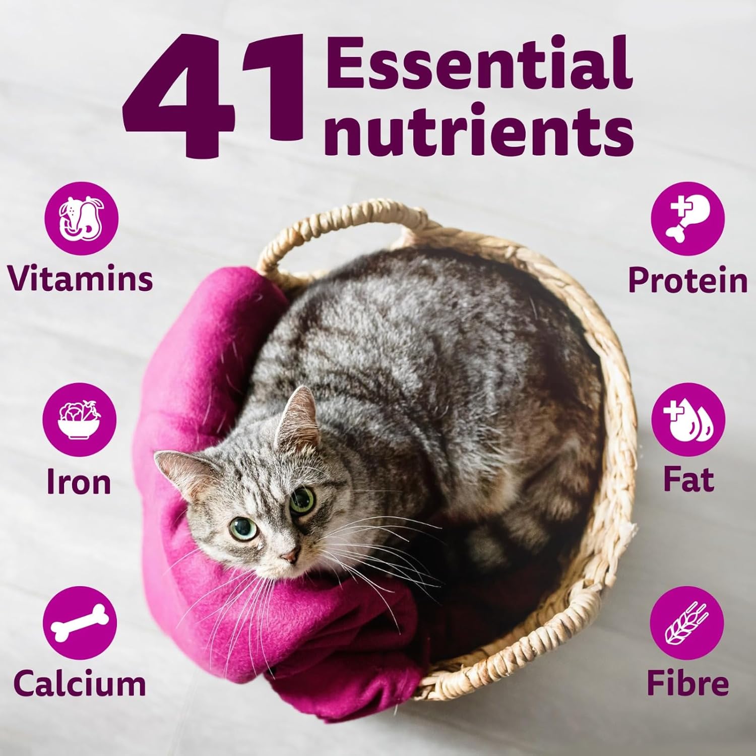Whiskas Mackerel Adult Dry Cat Food 1.2 Kg - BURAQ PETS