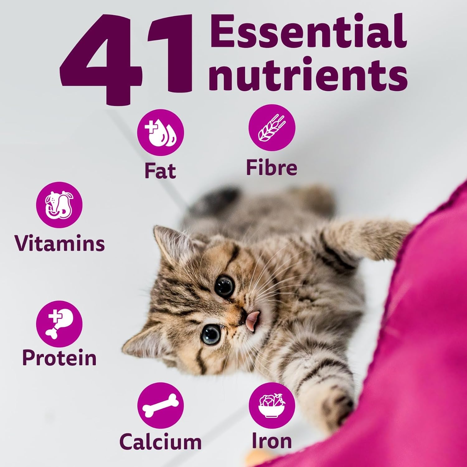 Whiskas Mackerel Kitten Dry Cat Food 1.1 Kg - BURAQ PETS