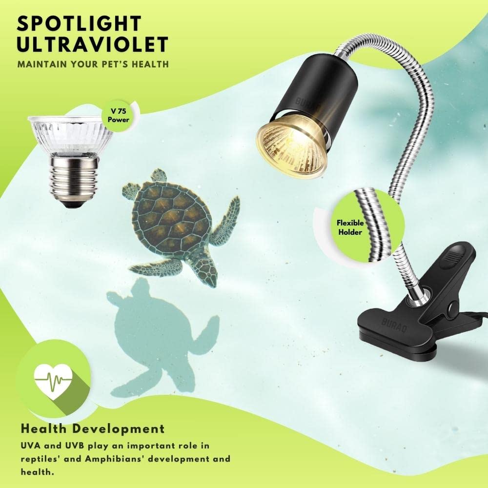 Turtle UVB UVA light