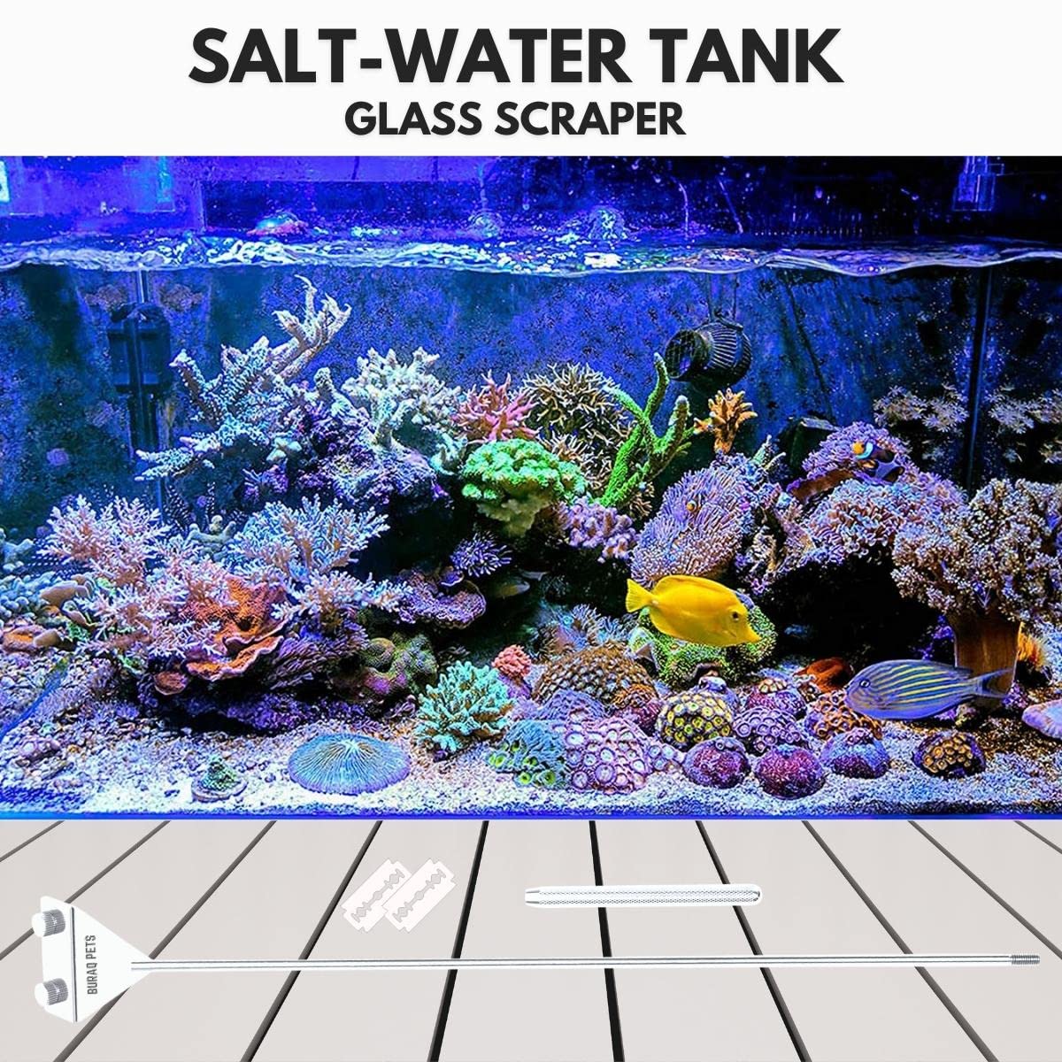 Algae Scraper Aquarium Cleaner - BURAQ PETS