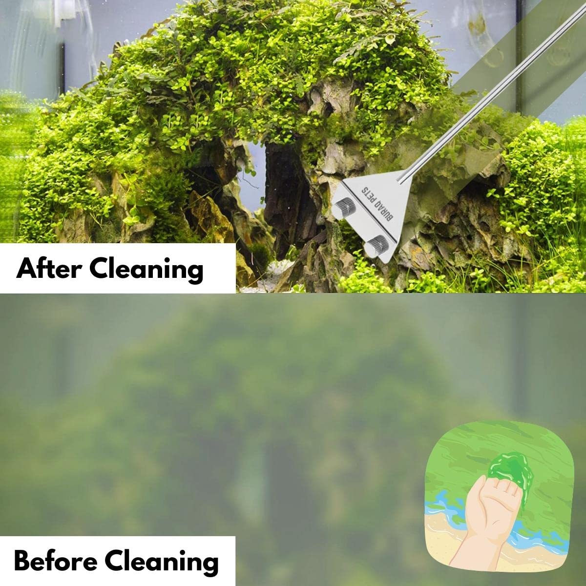 Algae Scraper Aquarium Cleaner - BURAQ PETS