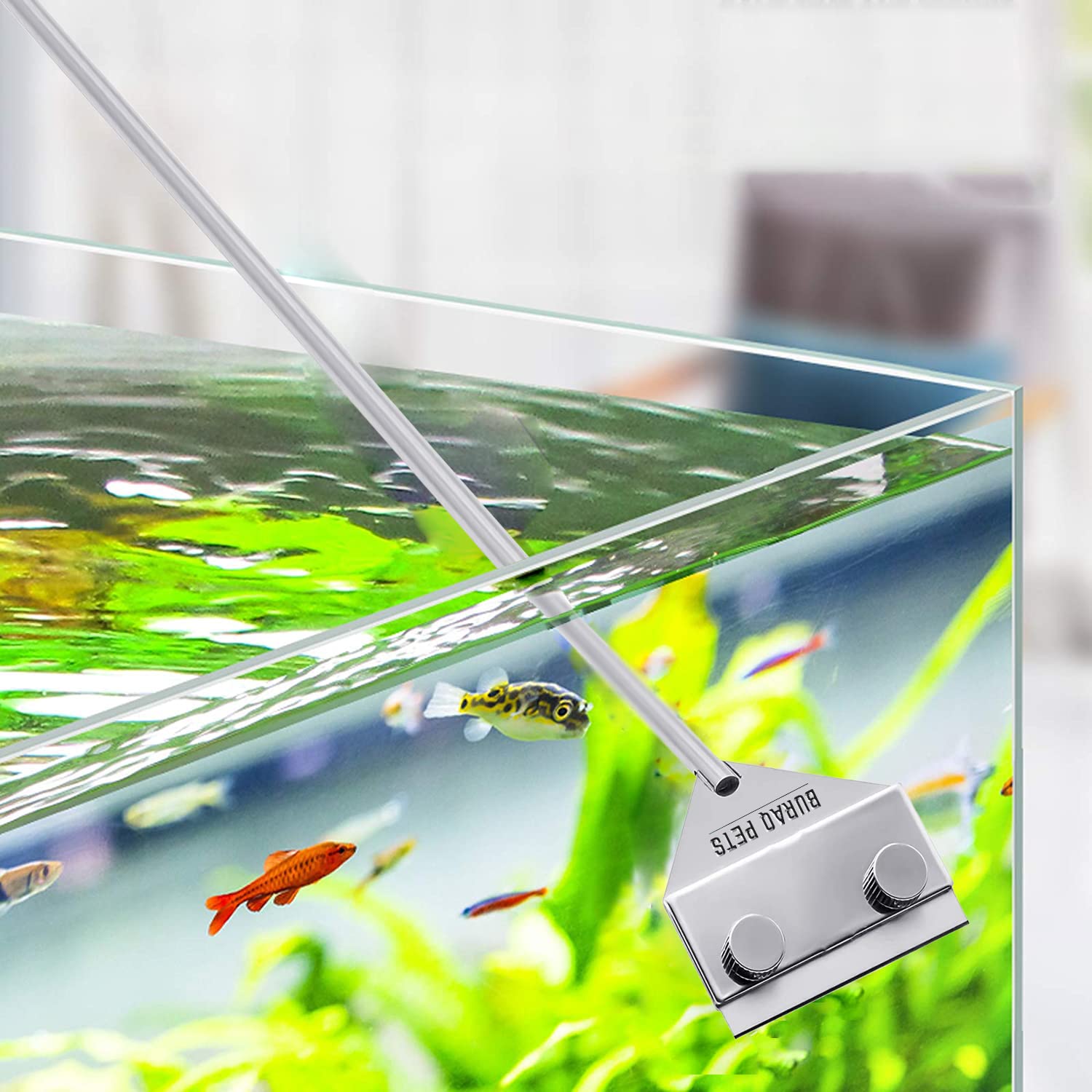 Algae Scraper Aquarium Cleaner - BURAQ PETS