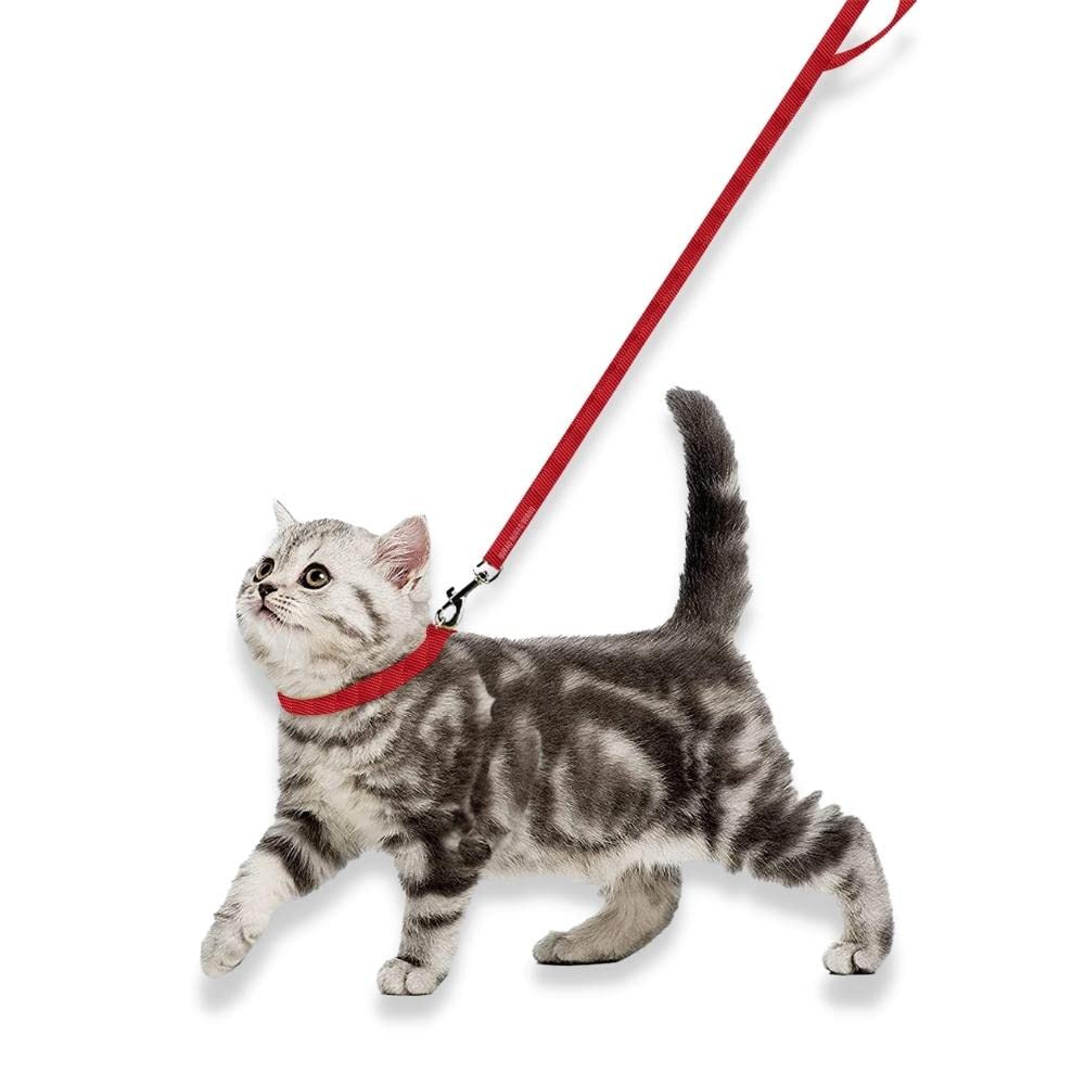 Cat Collar & Leash Set– Adjustable & Durable Cat Accesories