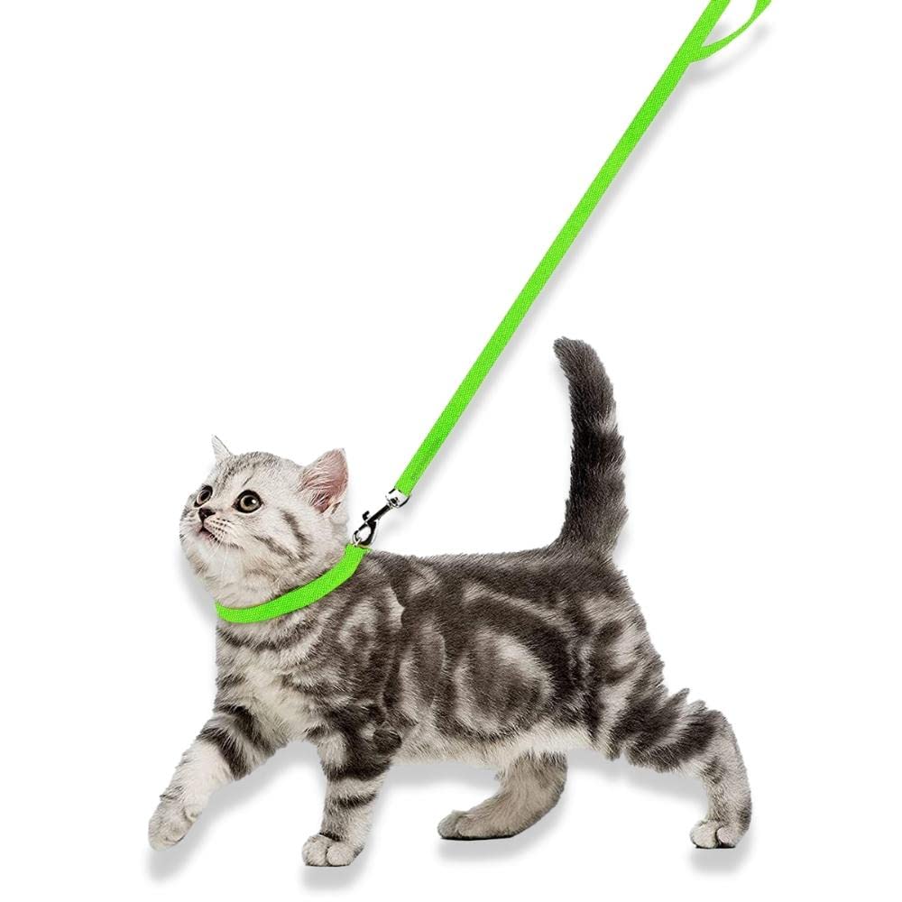 Collar and Leash Set - BURAQ PETS