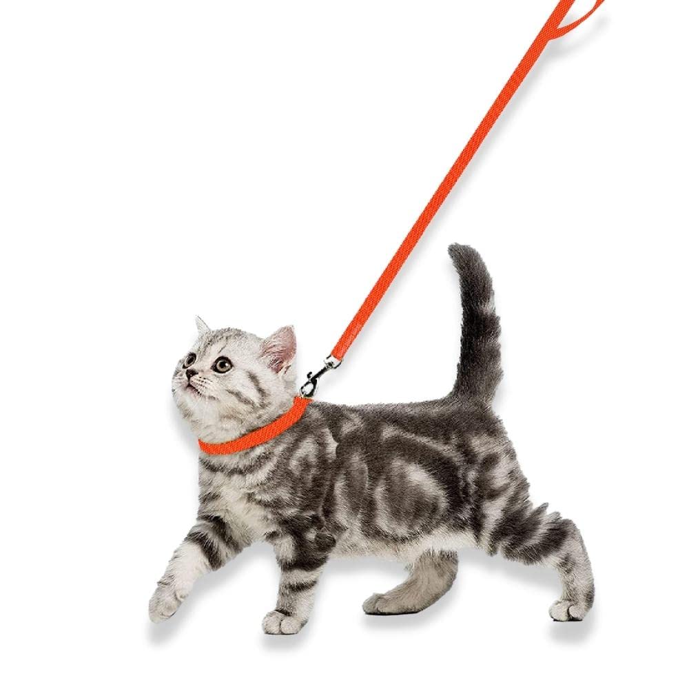 Cat Collar & Leash Set– Adjustable & Durable Cat Accesories