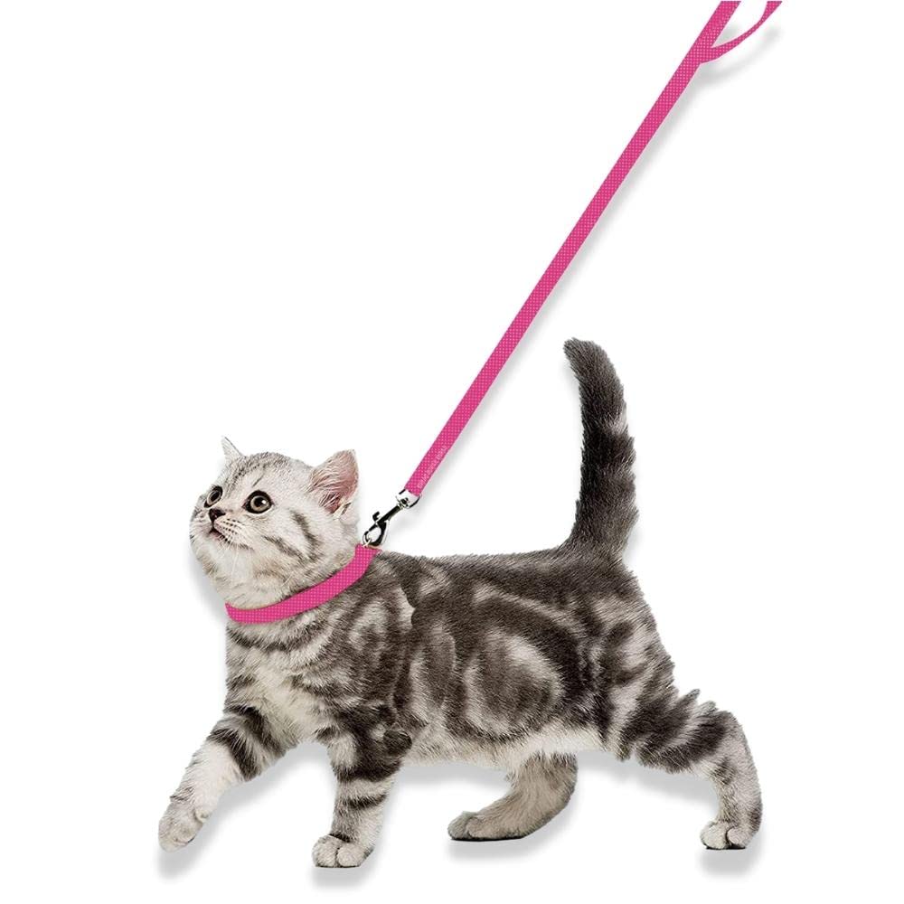 Cat Collar & Leash Set– Adjustable & Durable Cat Accesories