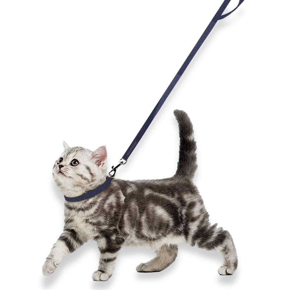 Cat Collar & Leash Set– Adjustable & Durable Cat Accesories