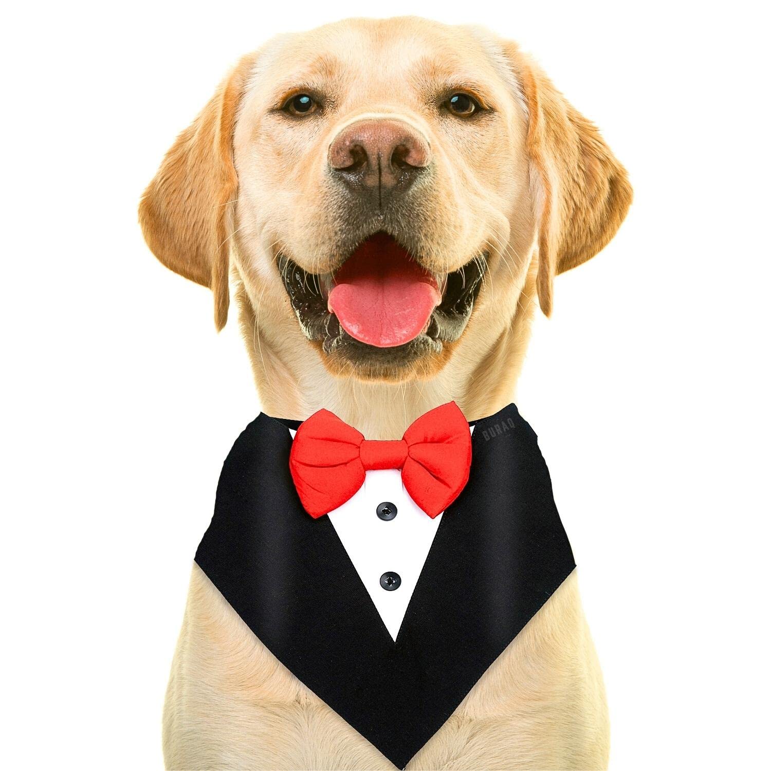 Dog bandana | Tie | bow - BURAQ PETS