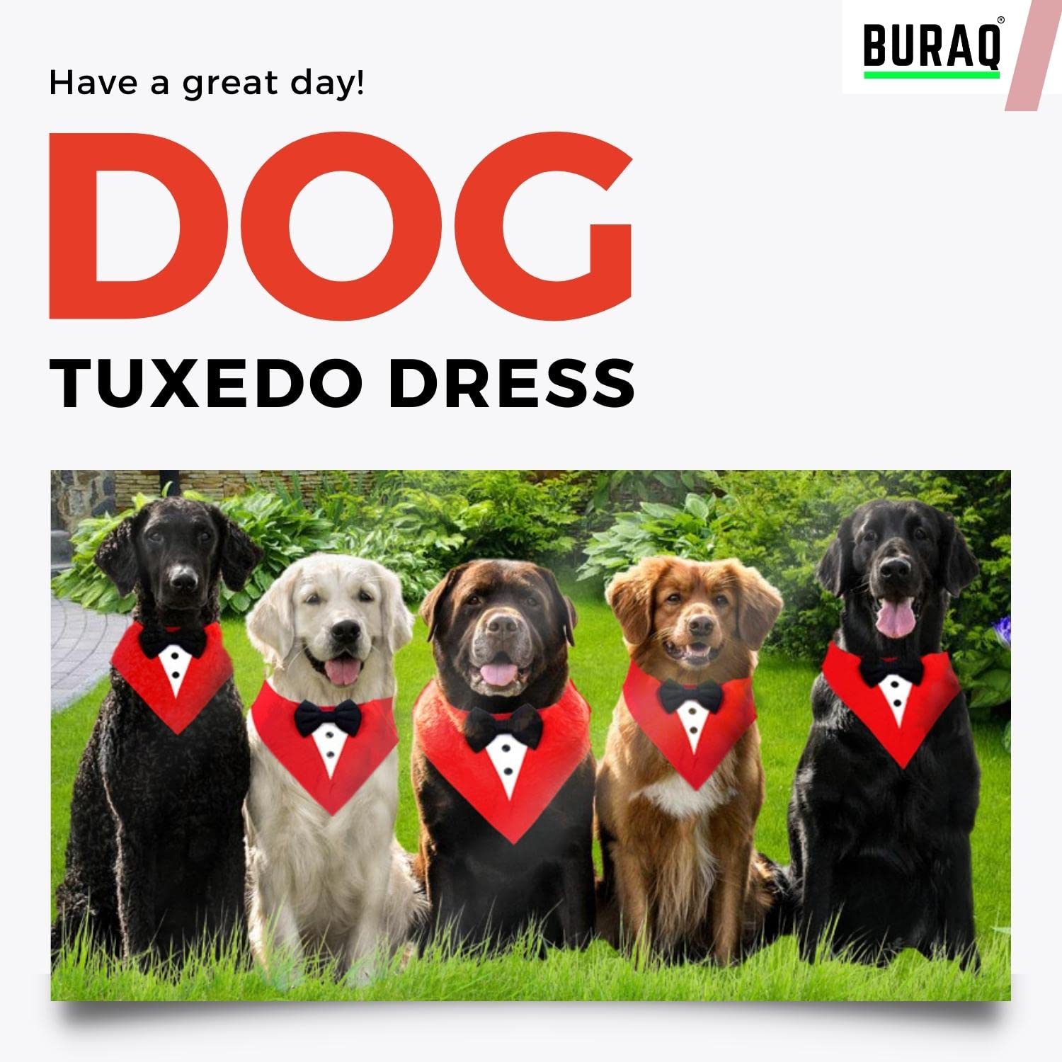 Dog bandana | Tie | bow - BURAQ PETS