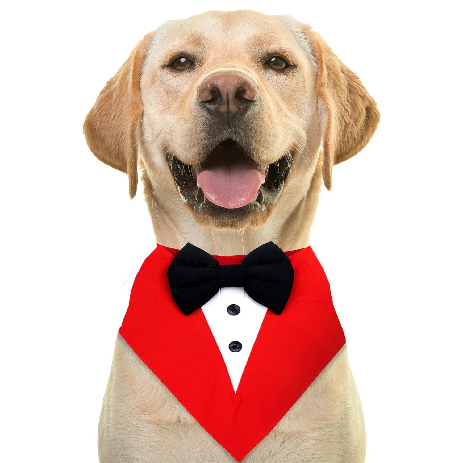 Dog bandana | Tie | bow - BURAQ PETS
