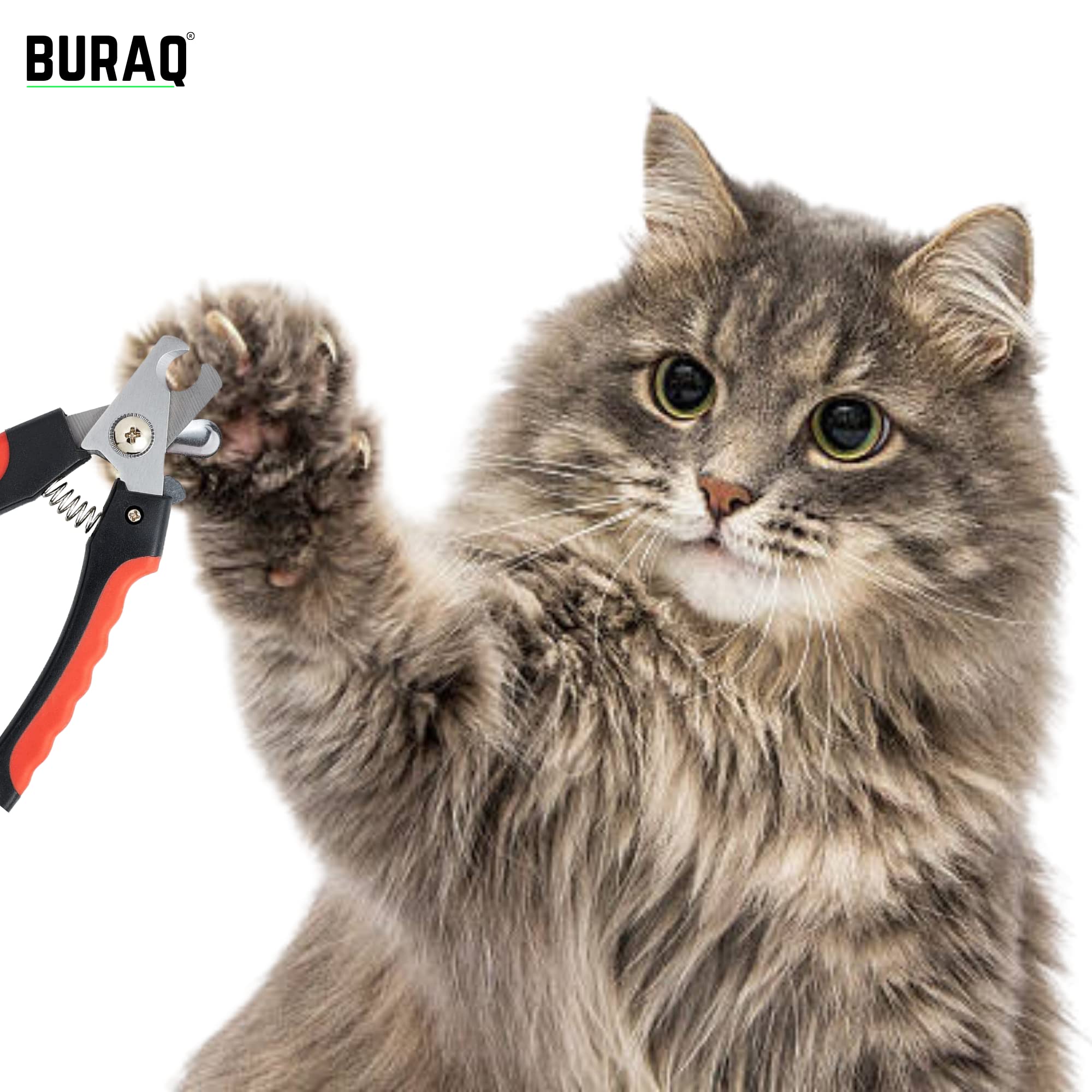 Pet nail Cutter - BURAQ PETS