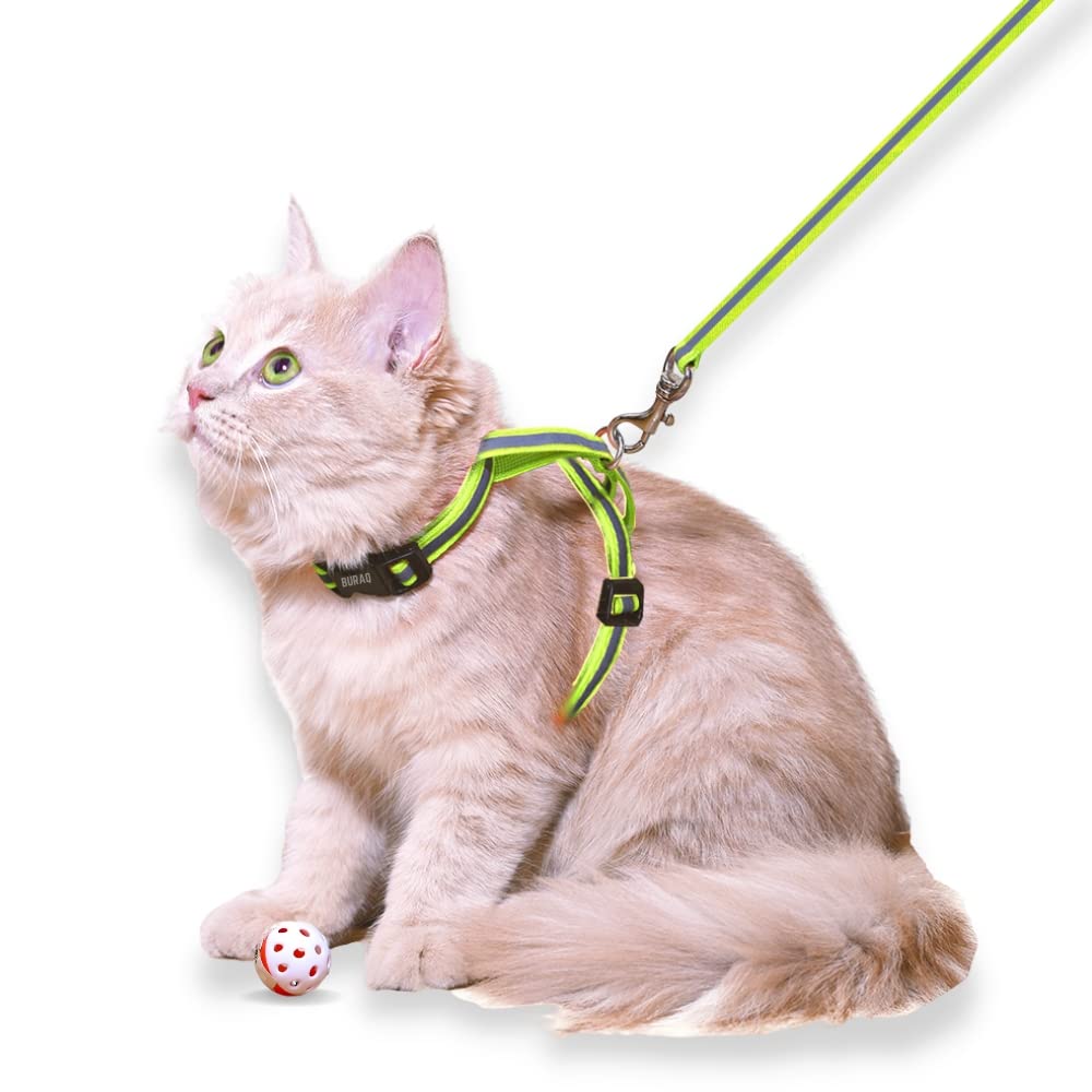 Reflective Cat Harness - BURAQ PETS