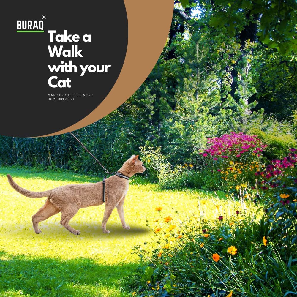 Reflective Cat Harness - BURAQ PETS
