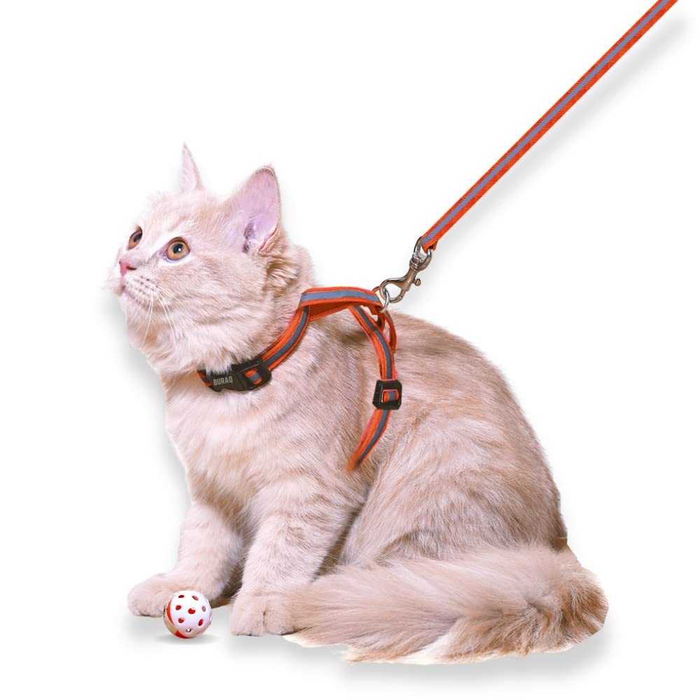 Reflective Cat Harness - BURAQ PETS