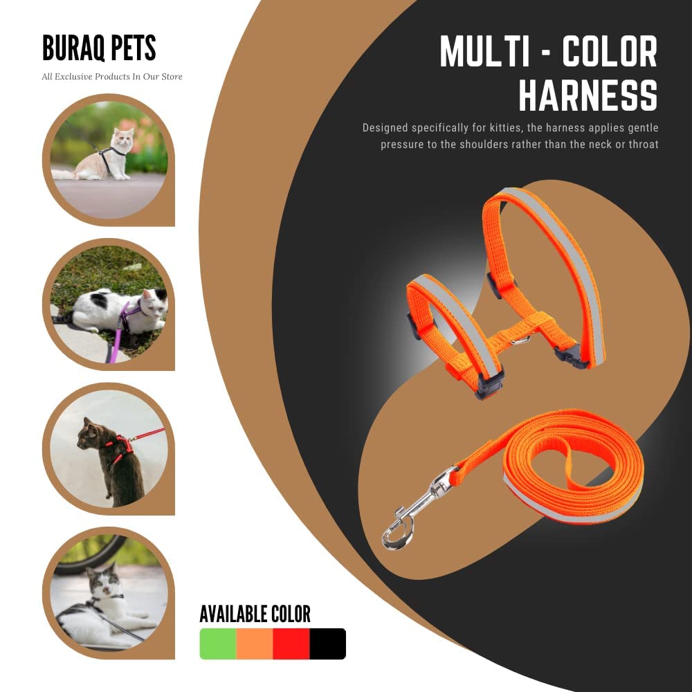 Reflective Cat Harness - BURAQ PETS